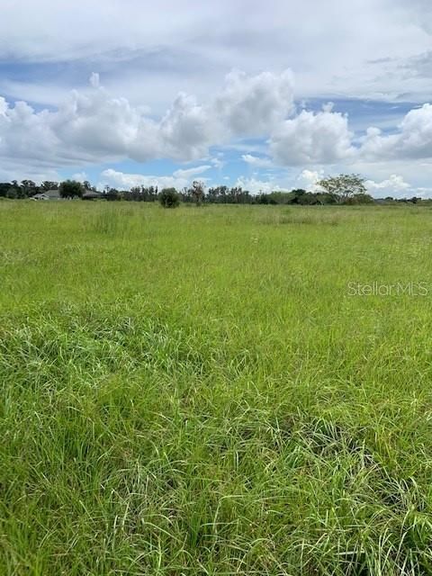 Vendido Recientemente: $86,500 (1.81 acres)