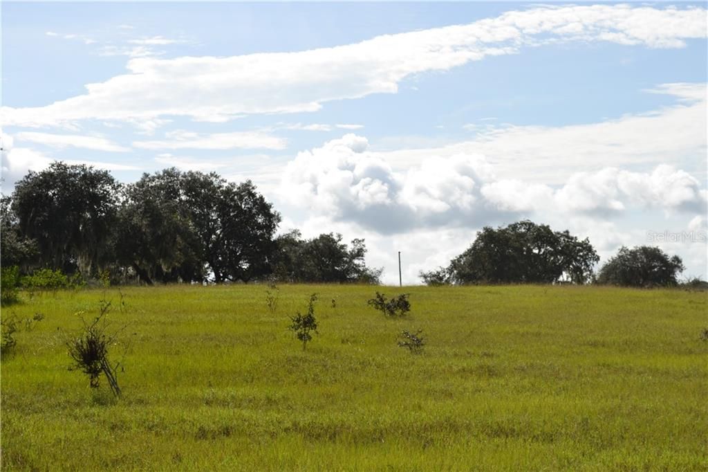 Недавно продано: $1,100,000 (76.68 acres)