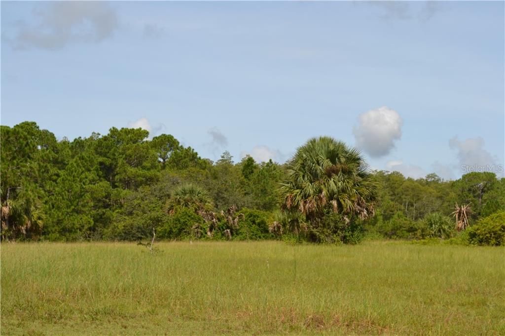 Recently Sold: $1,100,000 (76.68 acres)