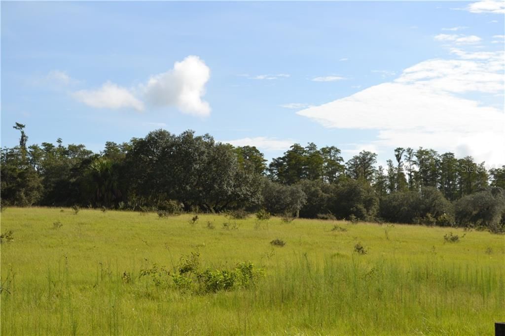 Recently Sold: $1,100,000 (76.68 acres)