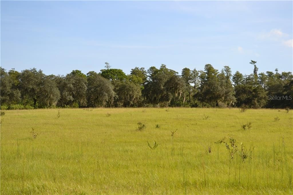 Recently Sold: $1,100,000 (76.68 acres)