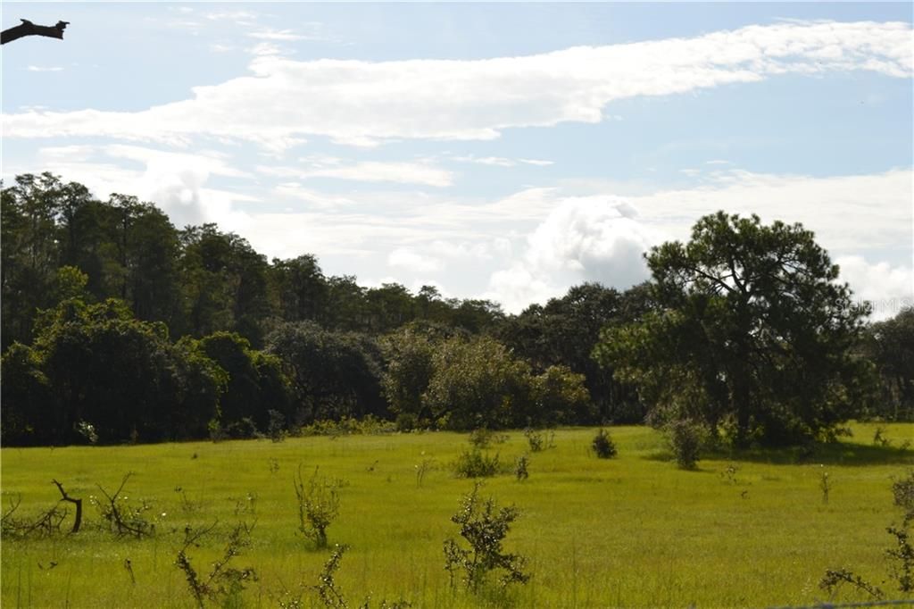 Recently Sold: $1,100,000 (76.68 acres)