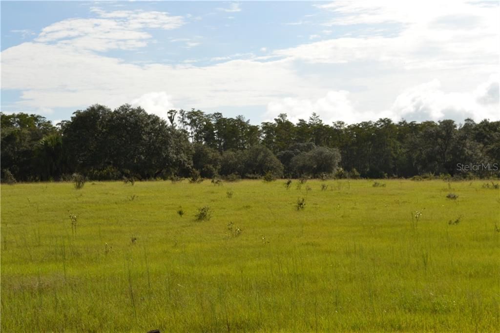 Recently Sold: $1,100,000 (76.68 acres)