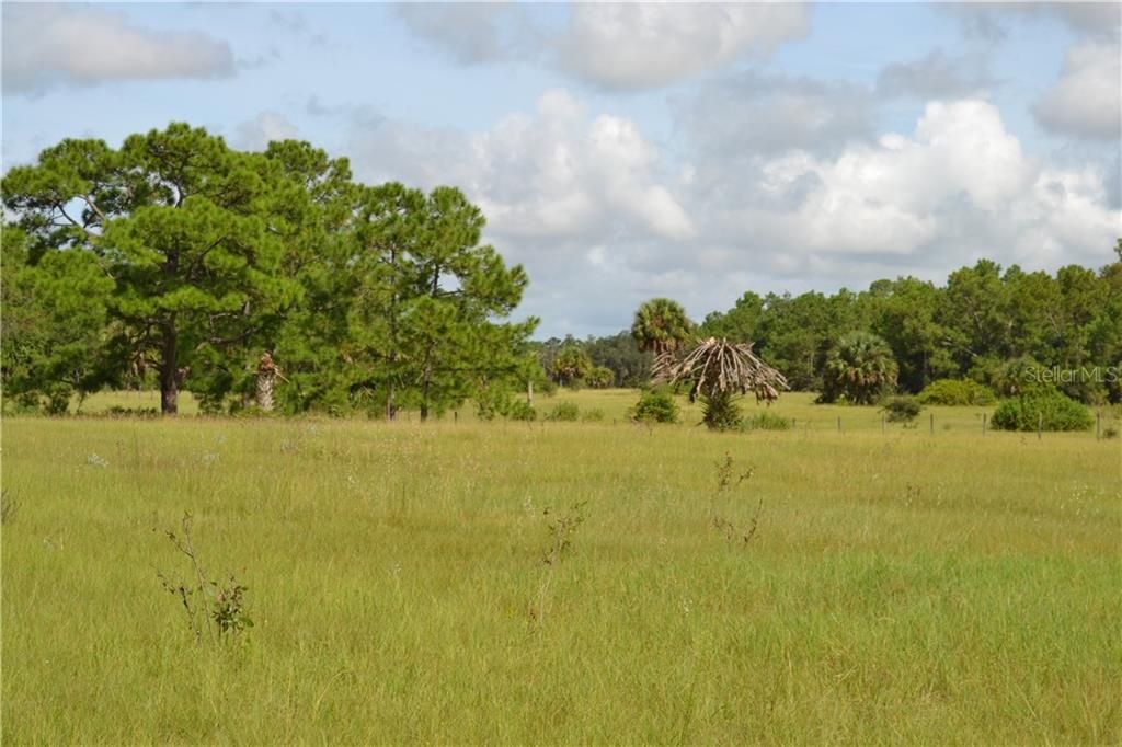 Recently Sold: $1,100,000 (76.68 acres)