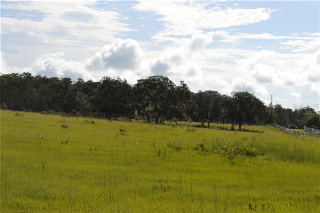 Vendido Recientemente: $1,100,000 (76.68 acres)