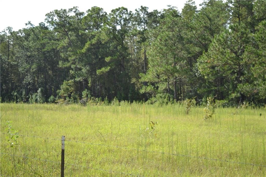 Recently Sold: $1,100,000 (76.68 acres)