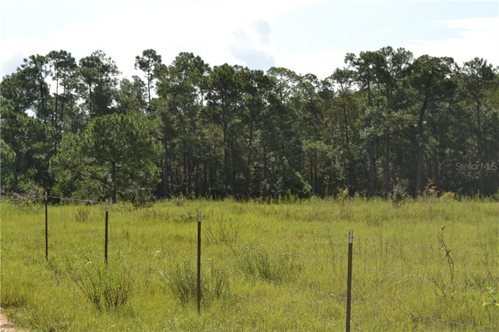 Recently Sold: $1,100,000 (76.68 acres)