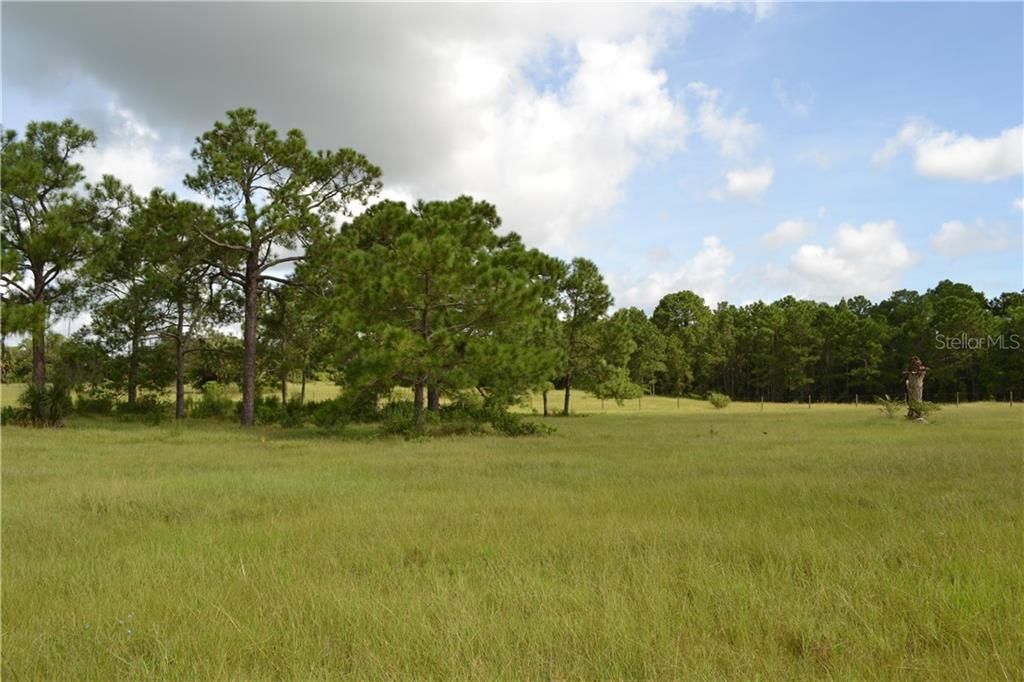 Recently Sold: $1,100,000 (76.68 acres)