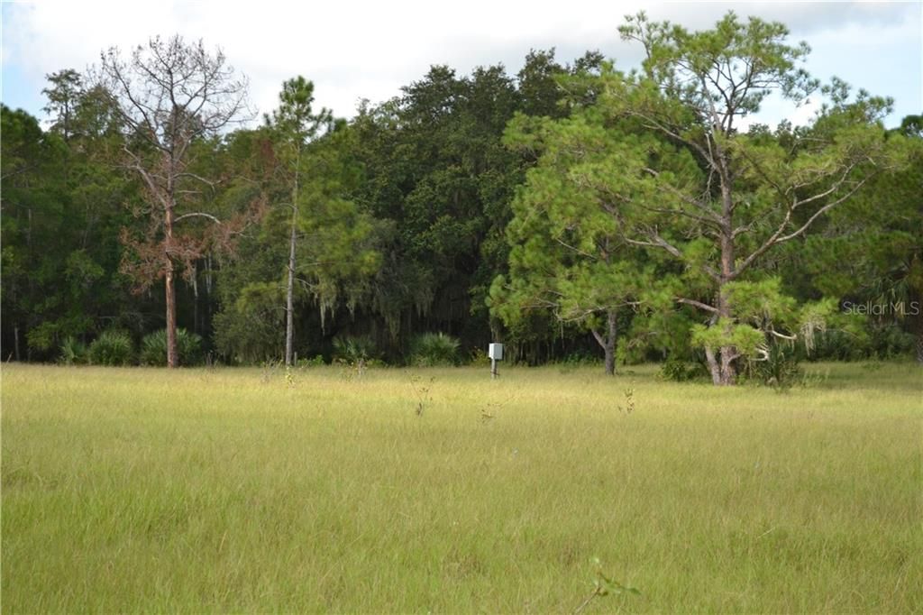 Vendido Recientemente: $1,100,000 (76.68 acres)