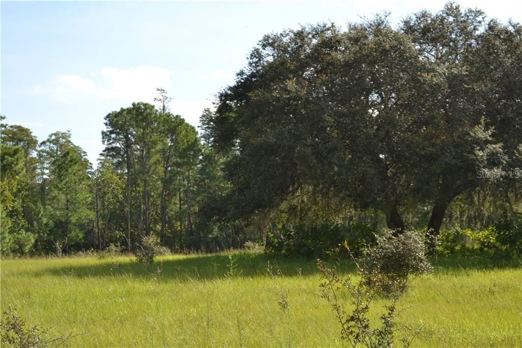 Recently Sold: $1,100,000 (76.68 acres)