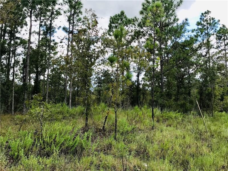 Recently Sold: $6,000 (1.00 acres)