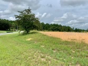 Recently Sold: $112,000 (1.25 acres)