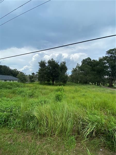 Recently Sold: $74,000 (1.29 acres)