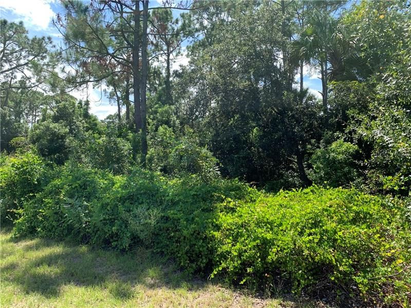 Recently Sold: $33,333 (0.24 acres)