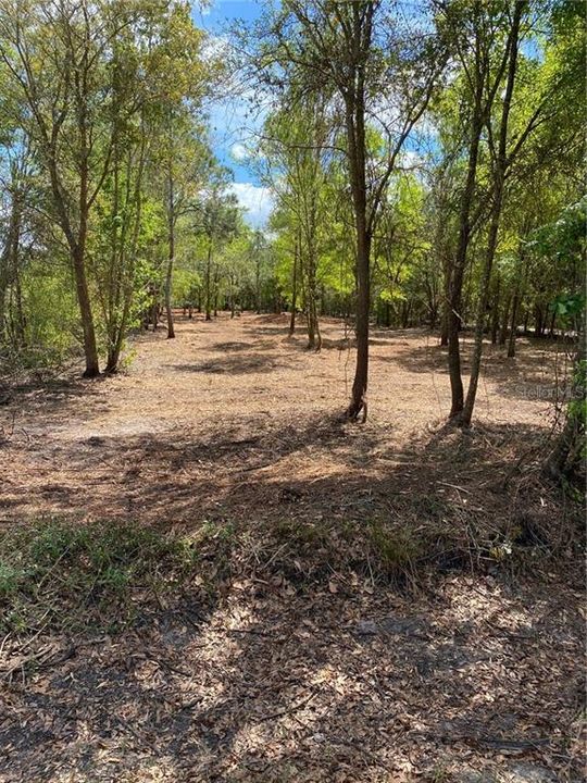 Recently Sold: $26,950 (1.00 acres)