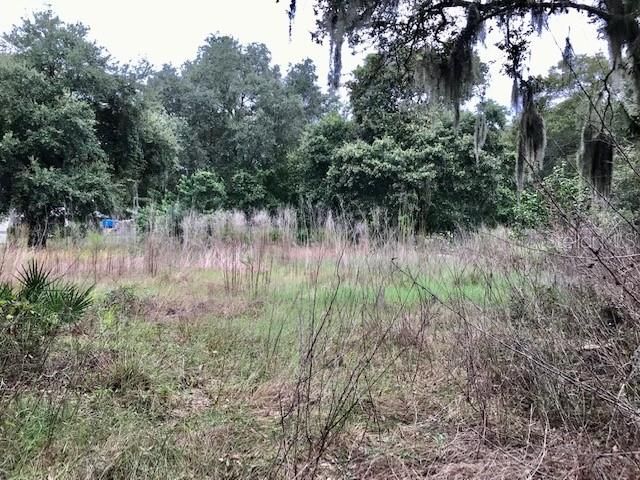 Recently Sold: $65,990 (0.23 acres)