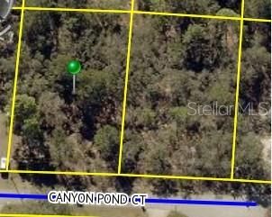 Recently Sold: $16,500 (0.46 acres)
