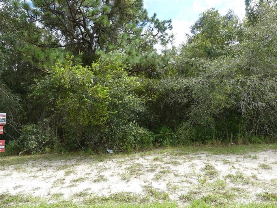 Recently Sold: $50,000 (0.45 acres)