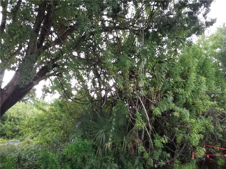 最近售出: $15,000 (0.43 acres)