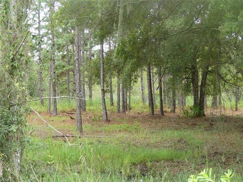 Vendido Recientemente: $65,000 (1.00 acres)