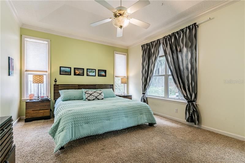 Master Bedroom with Tray Ceiling