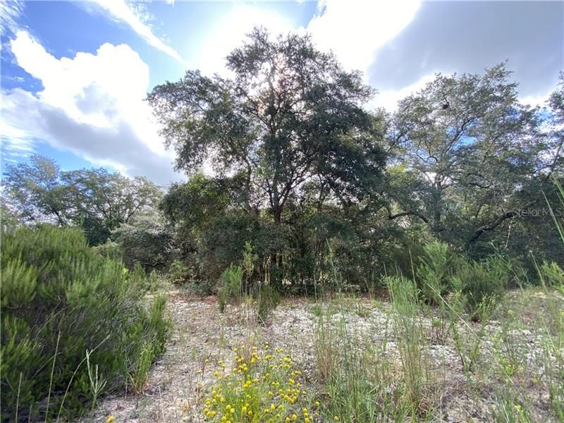 Recently Sold: $4,000 (0.27 acres)