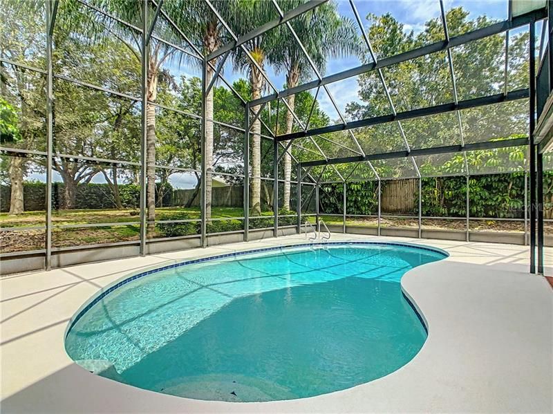 Large kidney shaped pool with screened pool cage.  This back yard offers plenty of privacy.