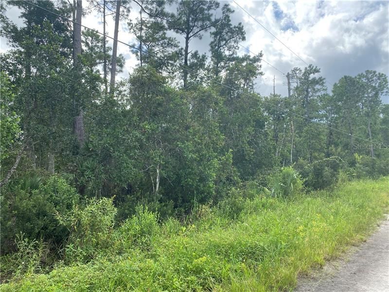 Recently Sold: $28,500 (1.25 acres)
