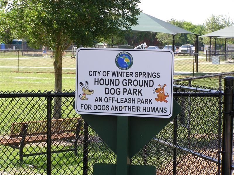City Dog Park