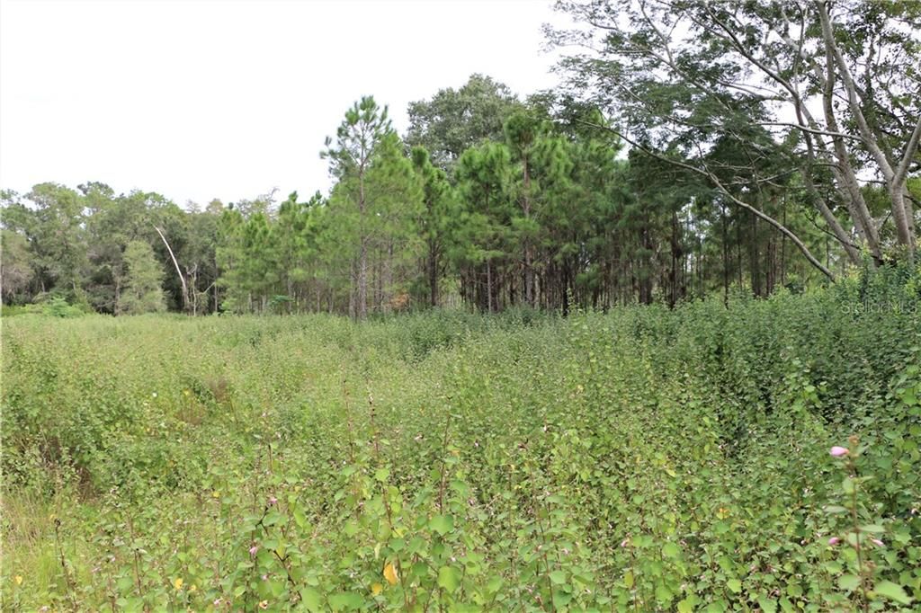 Recently Sold: $169,999 (58.00 acres)