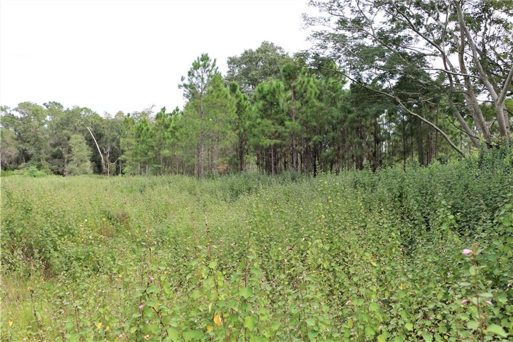 Vendido Recientemente: $169,999 (58.00 acres)