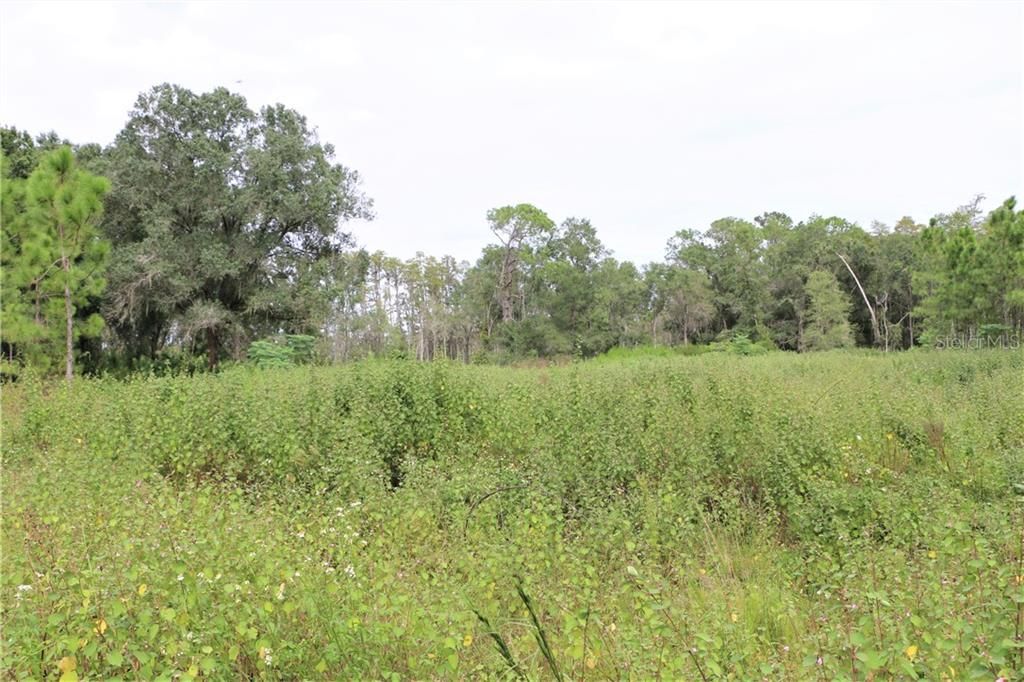 Recently Sold: $169,999 (58.00 acres)