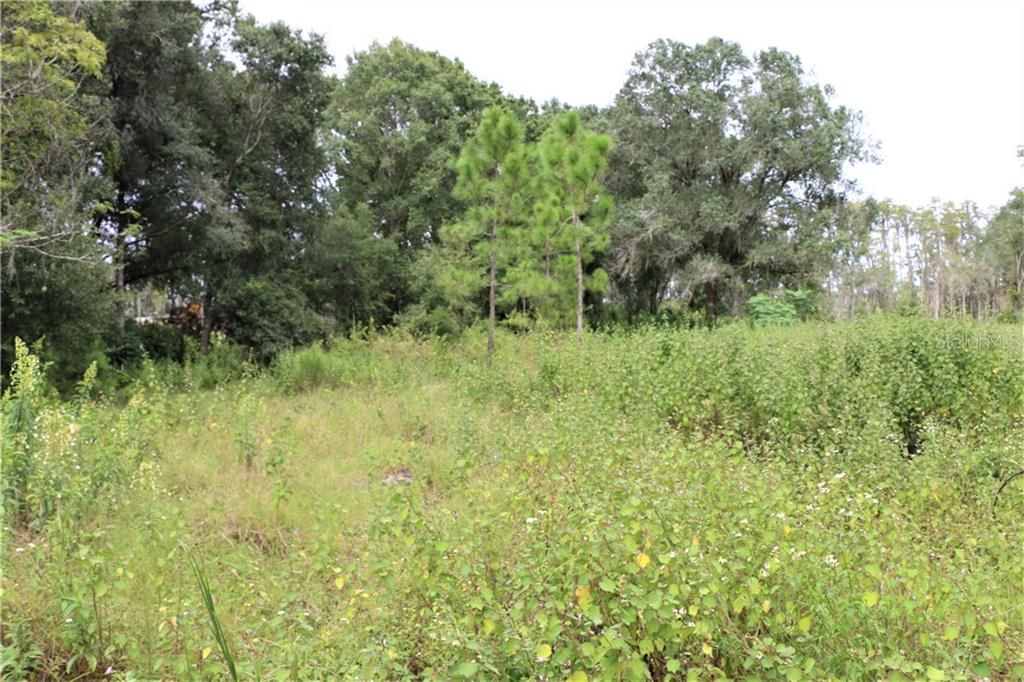 Recently Sold: $169,999 (58.00 acres)