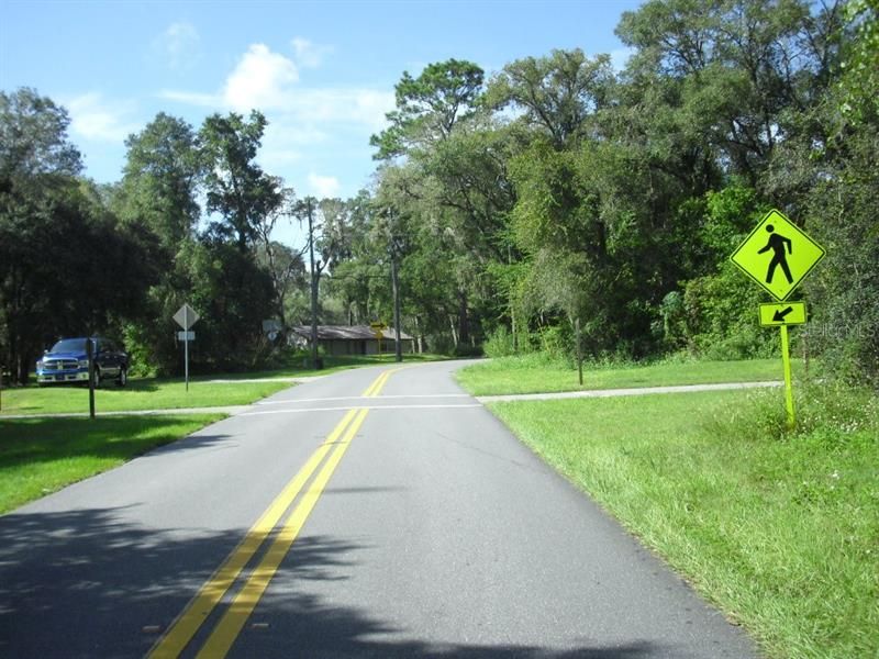 Dearborn Dr. Approaching Withlacoochee Trail