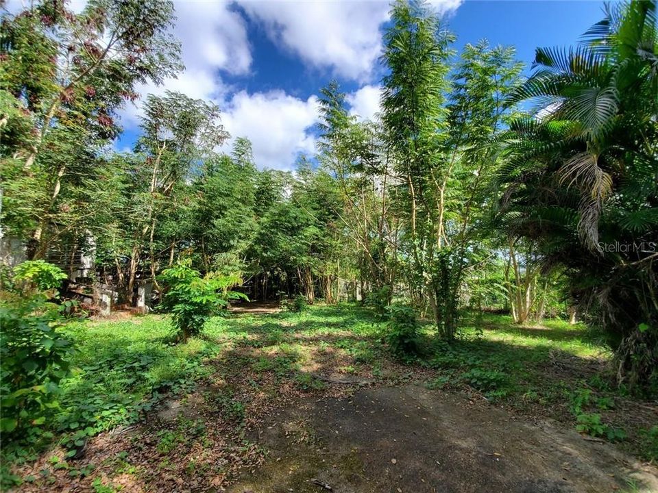 Недавно продано: $89,900 (1.45 acres)