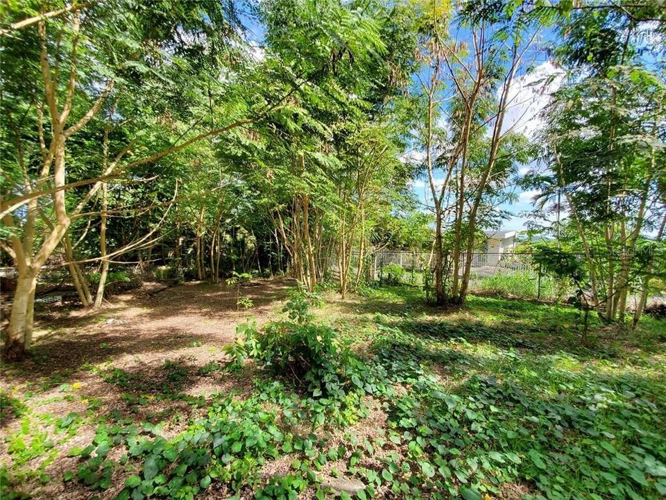 Недавно продано: $89,900 (1.45 acres)