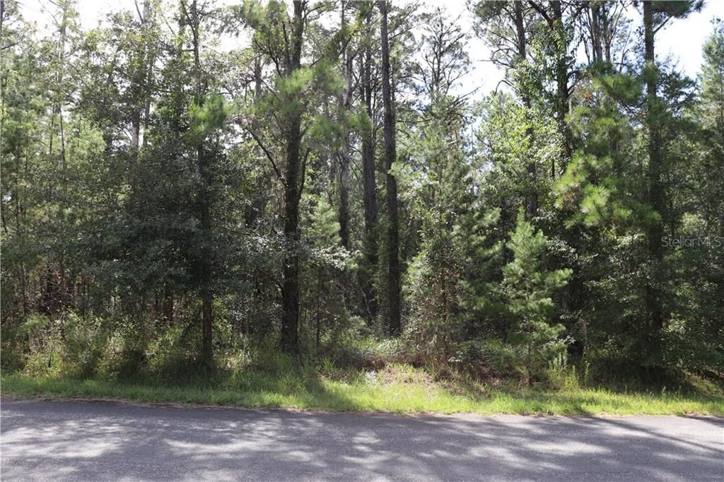 Recently Sold: $11,000 (0.29 acres)