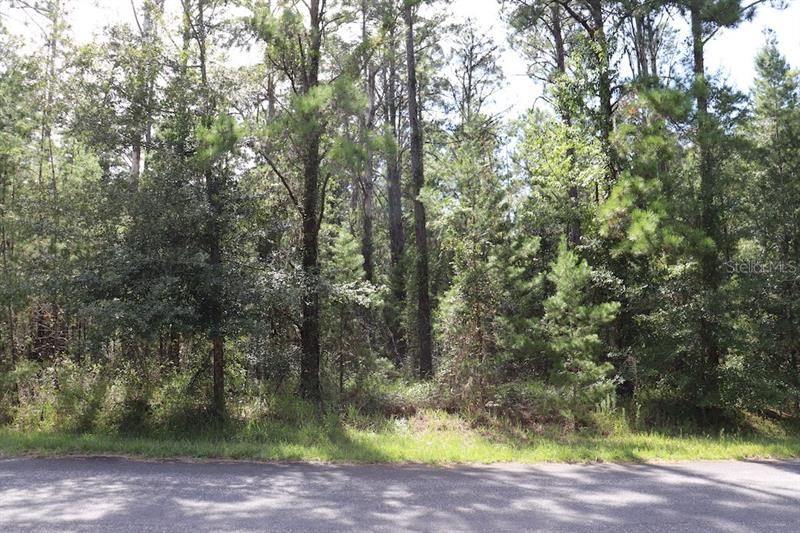 Recently Sold: $11,000 (0.29 acres)