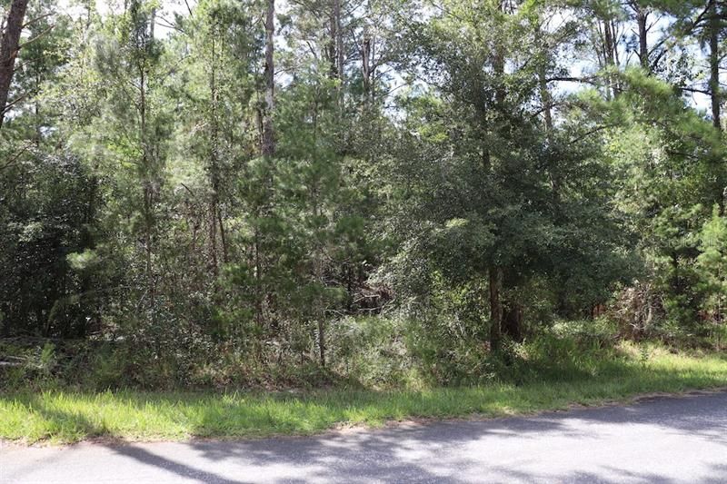 Recently Sold: $11,000 (0.29 acres)