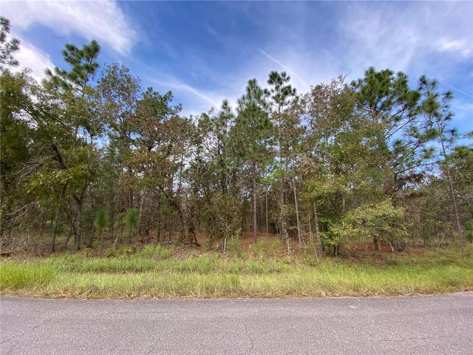 Vendido Recientemente: $5,900 (0.23 acres)