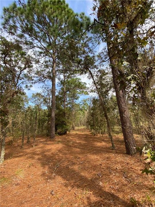 Vendido Recientemente: $5,900 (0.23 acres)