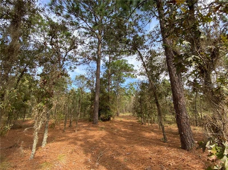 Vendido Recientemente: $5,900 (0.23 acres)