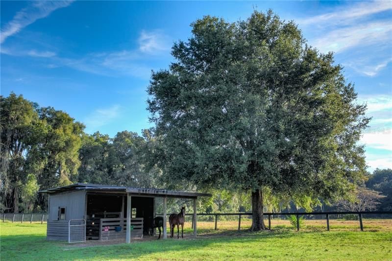 Vendido Recientemente: $699,900 (3 camas, 2 baños, 1911 Pies cuadrados)