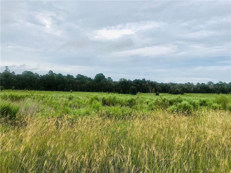 Recently Sold: $35,000 (5.00 acres)