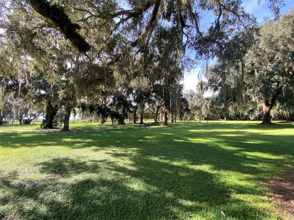 Marjorie Kinnan Rawlings State Park