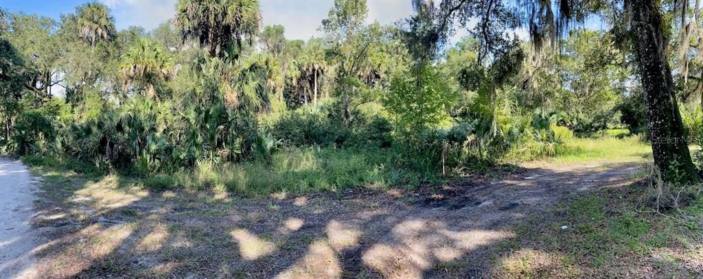 14904 E County Road 325 Cross Creek, FL 32640