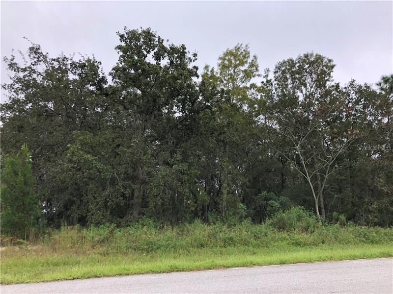 Recently Sold: $29,900 (0.34 acres)