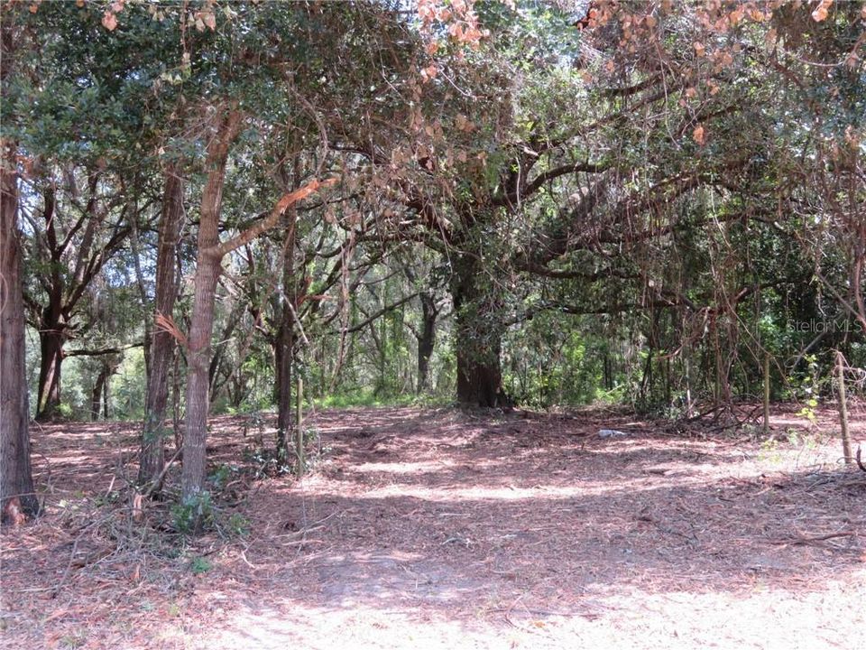 Recently Sold: $33,000 (3.03 acres)