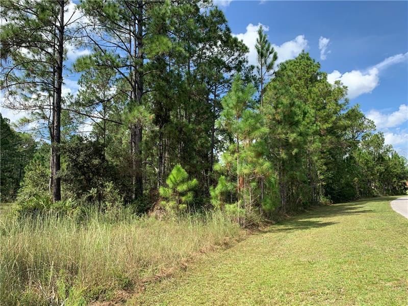 Recently Sold: $85,000 (31.90 acres)