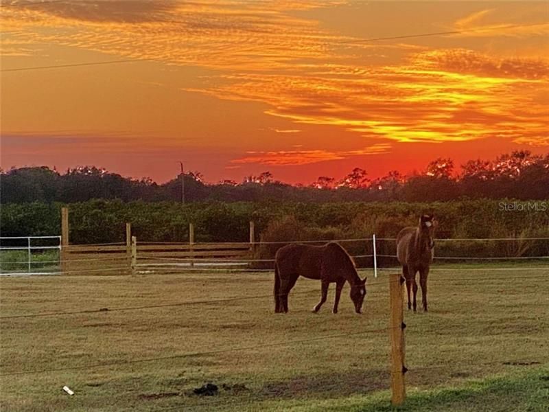 Vendido Recientemente: $95,000 (5.00 acres)